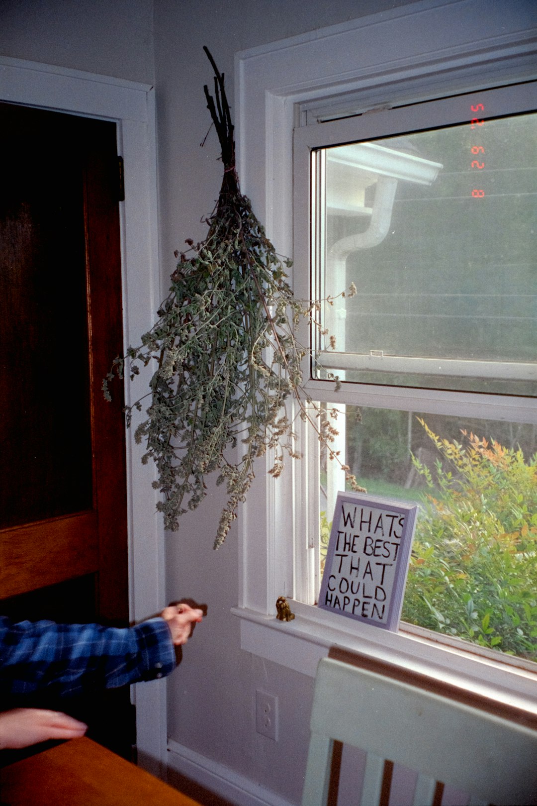 月桂樹の使用方法