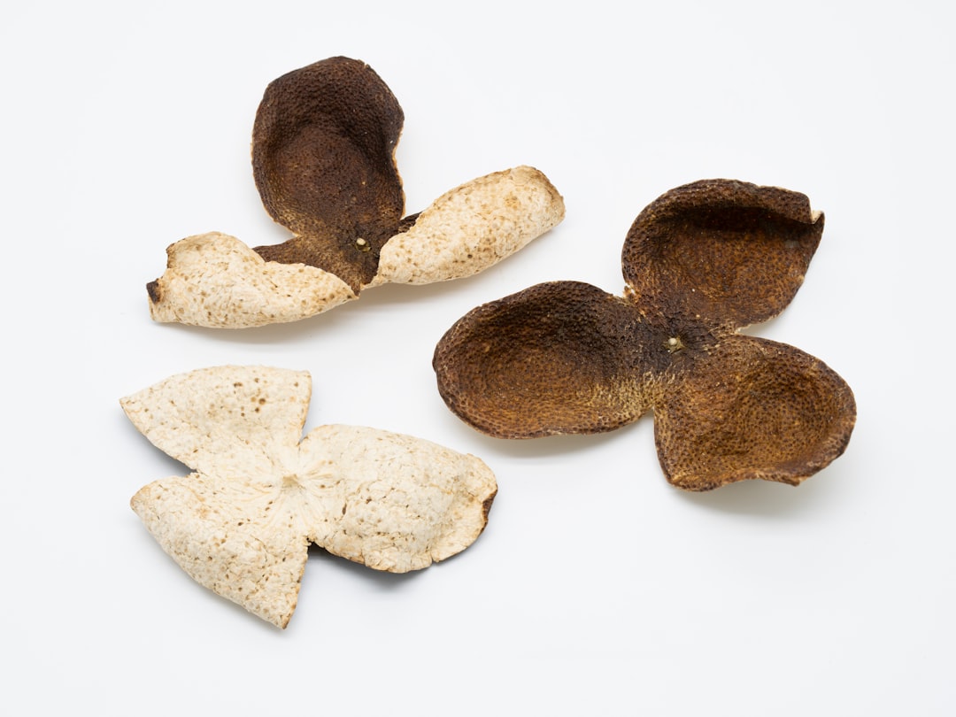 月と調和する生活